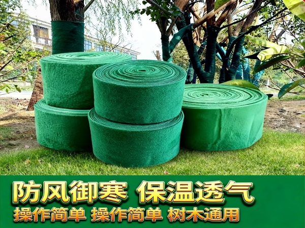 两布一膜缠树布保护新移栽树木好帮手